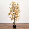 image:imageNearly Natural 5FT Wispy Artificial Eucalyptus Tree for Autumn Faux Eucalyptus Tree with Fall Colors for Home amp Office Dcor in Black Nursery Planter