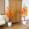 image:imageNearly Natural 5ft Artificial Autumn Oak Tree  Harvest Season Decor  Indoor Fall Foliage Display