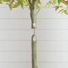 image:imageNearly Natural 5ft Autumn Nandina Artificial Fall Tree  Harvest Season Decor  Indoor Faux Plant  Vibrant Foliage Mimics Turning Leaves of Autumn
