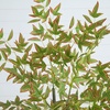 image:imageNearly Natural 5ft Autumn Nandina Artificial Fall Tree  Harvest Season Decor  Indoor Faux Plant  Vibrant Foliage Mimics Turning Leaves of Autumn