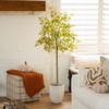 image:imageNearly Natural 5ft Autumn Nandina Artificial Fall Tree  Harvest Season Decor  Indoor Faux Plant  Vibrant Foliage Mimics Turning Leaves of Autumn