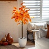 image:imageNearly Natural 5ft PreLit Autumn Maple Artificial Fall Tree with 240 Warm White LED Lights