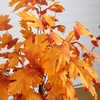 image:imageNearly Natural 5ft PreLit Autumn Maple Artificial Fall Tree with 240 Warm White LED Lights