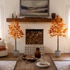image:imageNearly Natural 5ft PreLit Burnt Orange Autumn Maple Artificial Fall Tree with 240 Warm White LED Lights