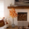 image:imageNearly Natural 5ft PreLit Burnt Orange Autumn Maple Artificial Fall Tree with 240 Warm White LED Lights