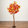 image:imageNearly Natural 5ft PreLit Shades of Autumn Maple Artificial Fall Tree with 270 Warm White LED Lights