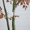 image:imageNearly Natural 6ft Autumn Birch Leaf Artificial Fall Tree  Harvest Season Decor  Indoor Faux Plant Display