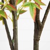 image:imageNearly Natural 6ft Autumn Nandina Artificial Fall Tree