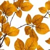 image:imageNearly Natural 6ft Autumn Oyama Magnolia Artificial Fall Tree