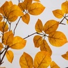 image:imageNearly Natural 6ft Autumn Oyama Magnolia Artificial Fall Tree
