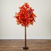 image:imageNearly Natural 6ft PreLit Autumn Artificial Fall Tree with 300 Warm White LED Lights  Seasonal Home Dcor