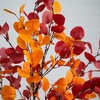 image:imageNearly Natural 6ft PreLit Bright Autumn Eucalyptus Artificial Fall Tree with 420 Warm White LED Lights