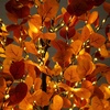 image:imageNearly Natural 6ft PreLit Bright Autumn Eucalyptus Artificial Fall Tree with 420 Warm White LED Lights