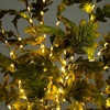 image:imageNearly Natural 6ft PreLit Green Autumn Oak Artificial Fall Tree with 250 Warm White LED Lights