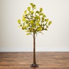 image:imageNearly Natural 6ft PreLit Green Autumn Oak Artificial Fall Tree with 250 Warm White LED Lights