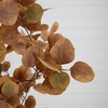 image:imageNearly Natural 7ft Artificial Autumn Fall Eucalyptus Tree