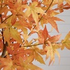 image:imageNearly Natural 7ft Autumn Maple Artificial Fall TreeOrange