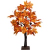 image:imageNearly Natural 2ft PreLit Autumn Maple Artificial Fall Tree with Acorns amp Pinecones  18 Warm White LED Lights