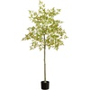 image:imageNearly Natural 5ft Autumn Nandina Artificial Fall Tree  Harvest Season Decor  Indoor Faux Plant  Vibrant Foliage Mimics Turning Leaves of Autumn