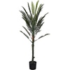 image:imageNearly Natural 55ft Double Robellini Palm Tree UV Resistant IndoorOutdoor