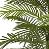 image:imageNearly Natural 55ft Double Robellini Palm Tree UV Resistant IndoorOutdoor