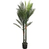 image:imageNearly Natural 55ft Double Robellini Palm Tree UV Resistant IndoorOutdoor