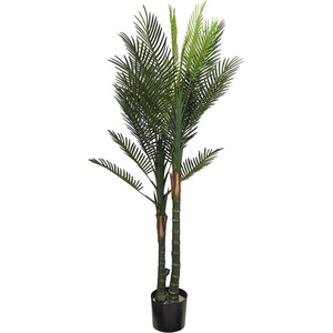 image:imageNearly Natural 55ft Double Robellini Palm Tree UV Resistant IndoorOutdoor