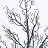 image:imageNearly Natural 4ft PreLit Minimalist Black Twig Halloween Tree with LEDs
