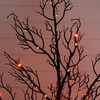 image:imageNearly Natural 4ft PreLit Minimalist Black Twig Halloween Tree with LEDs