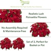 image:imageNearly Natural 24 Poinsettia Set of 2 Artificial Plant Red