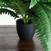 image:imageNearly Natural 24 in Artificial SelfShaped Boston Fern Plant