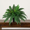 image:imageNearly Natural 24 in Artificial SelfShaped Boston Fern Plant