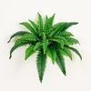 image:imageNearly Natural 32in Boston Fern Set of 2  Realistic Artificial Fern Plants with Flexible Branches and Lifelike Leaves LowMaintenance Indoor Ferns for Home and Office Decor