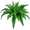 image:imageNearly Natural 32in Boston Fern Set of 2  Realistic Artificial Fern Plants with Flexible Branches and Lifelike Leaves LowMaintenance Indoor Ferns for Home and Office Decor