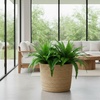 image:imageNearly Natural 32in Boston Fern Set of 2  Realistic Artificial Fern Plants with Flexible Branches and Lifelike Leaves LowMaintenance Indoor Ferns for Home and Office Decor