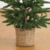 image:imageNearly Natural 3ft PreLit Artificial Christmas Tree 60 LED Lights