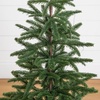 image:imageNearly Natural 3ft PreLit Artificial Christmas Tree 60 LED Lights