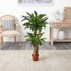 image:imageNearly Natural 4 ft Artificial Corn Stalk Dracaena RealTouch Floor Plant