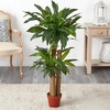 image:imageNearly Natural 4 ft Artificial Corn Stalk Dracaena RealTouch Floor Plant