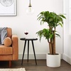 image:imageNearly Natural 4 ft Artificial Corn Stalk Dracaena RealTouch Floor Plant