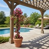 image:imageNearly Natural 4ft UV Resistant Artificial Spiral Bougainvillea Tree IndoorOutdoor6ft
