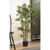 image:imageNearly Natural 5214 Bambusa Bamboo Silk Tree 6Feet Green 72 in3ft