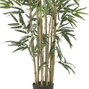 image:imageNearly Natural 5214 Bambusa Bamboo Silk Tree 6Feet Green 72 in3ft