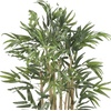 image:imageNearly Natural 5214 Bambusa Bamboo Silk Tree 6Feet Green 72 in3ft