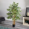 image:imageNearly Natural 5214 Bambusa Bamboo Silk Tree 6Feet Green 72 in4ft