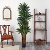image:imageNearly Natural 65 ft Artificial Dracaena Tree with Pot Indoor Floor Plant