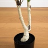 image:imageNearly Natural 7 ft Artificial Birch Tree with Real Touch Leaves5ft