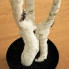 image:imageNearly Natural 7 ft Artificial Birch Tree with Real Touch Leaves6ft
