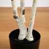 image:imageNearly Natural 7 ft Artificial Birch Tree with Real Touch Leaves7ft