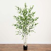 image:imageNearly Natural 7 ft Artificial Birch Tree with Real Touch Leaves7ft